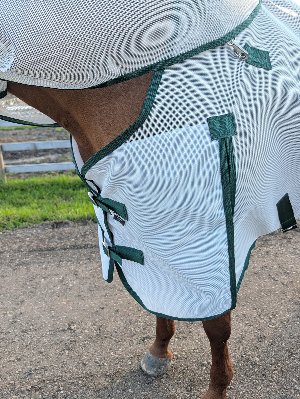 Flysheet with Detachable Hood Combo