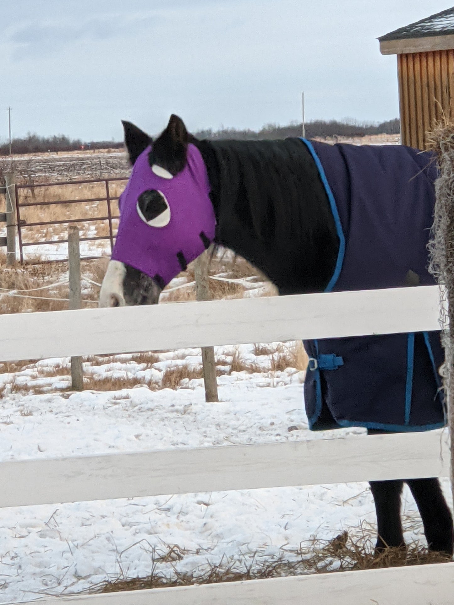 Spandex Face Mask
