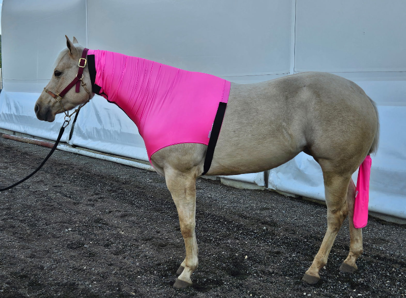 Spandex Adult Headless Horse Hood WITH ZIPPER