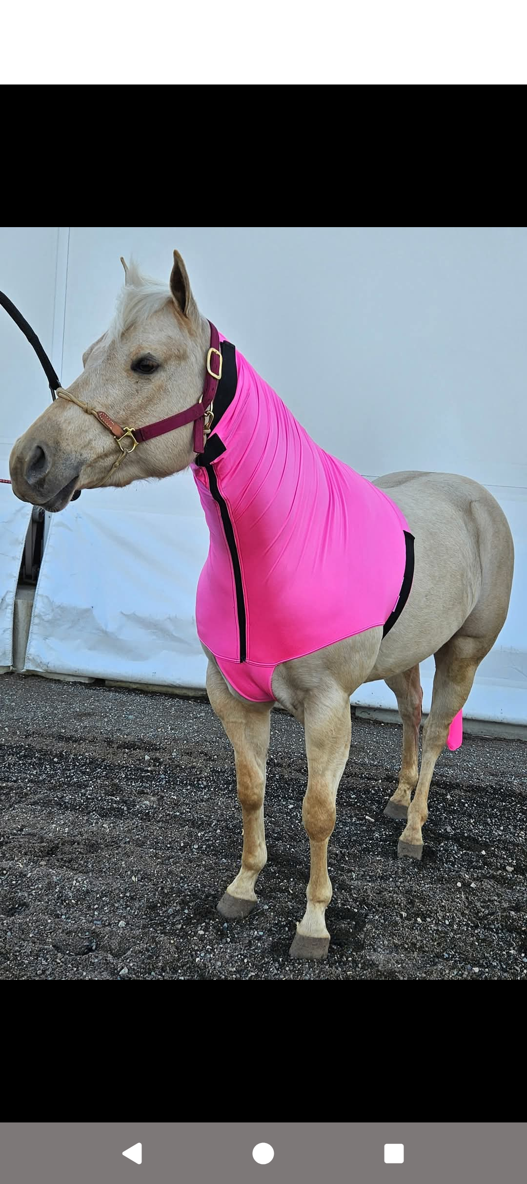 Spandex Adult Headless Horse Hood WITH ZIPPER