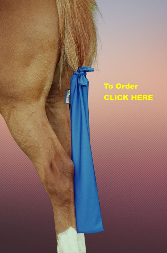 Spandex Tail Bag