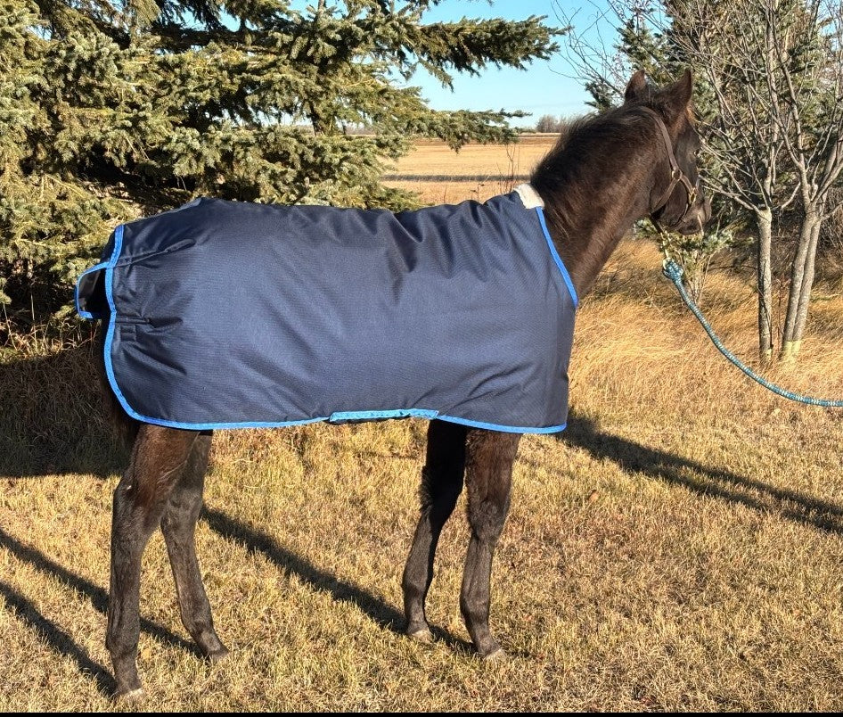 horsewear by STATLERHOUSE Winter Snuggle Rug WEANLING, Medium, Large 1680D, 285g