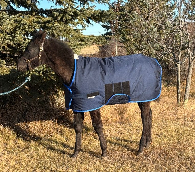 horsewear by STATLERHOUSE Winter Snuggle Rug WEANLING, Medium, Large 1680D, 285g