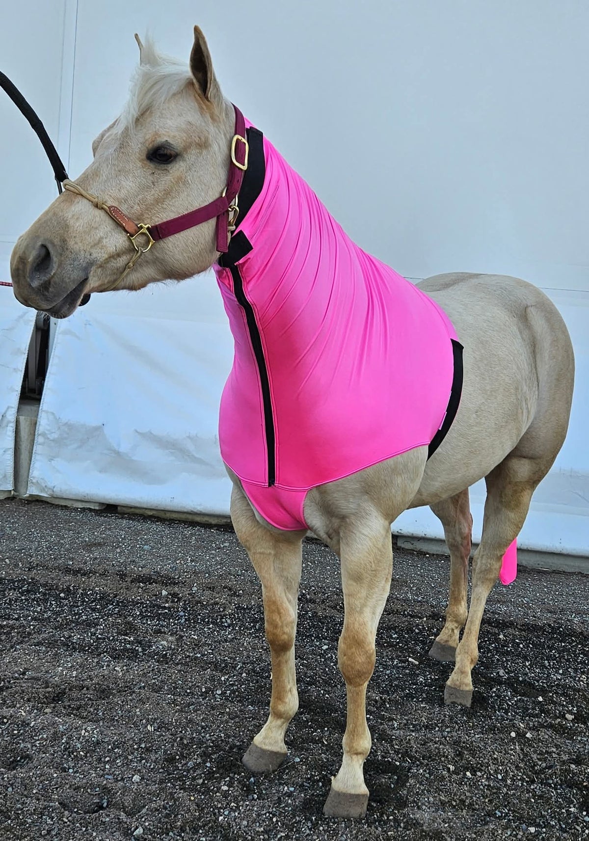 Spandex Headless Hood - With Zipper