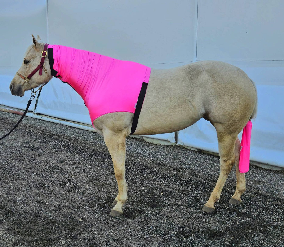 Spandex Headless Hood - With Zipper