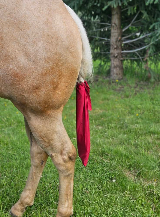 Spandex Tail Bag