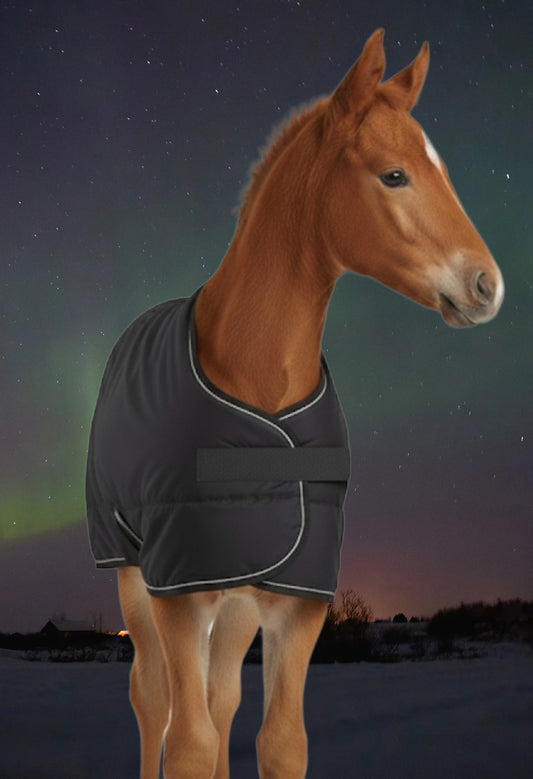 Snuggle Rug FOAL SIZE XSMALL, SMALL   1680D OUTER SHELL + 283g POLYFILL