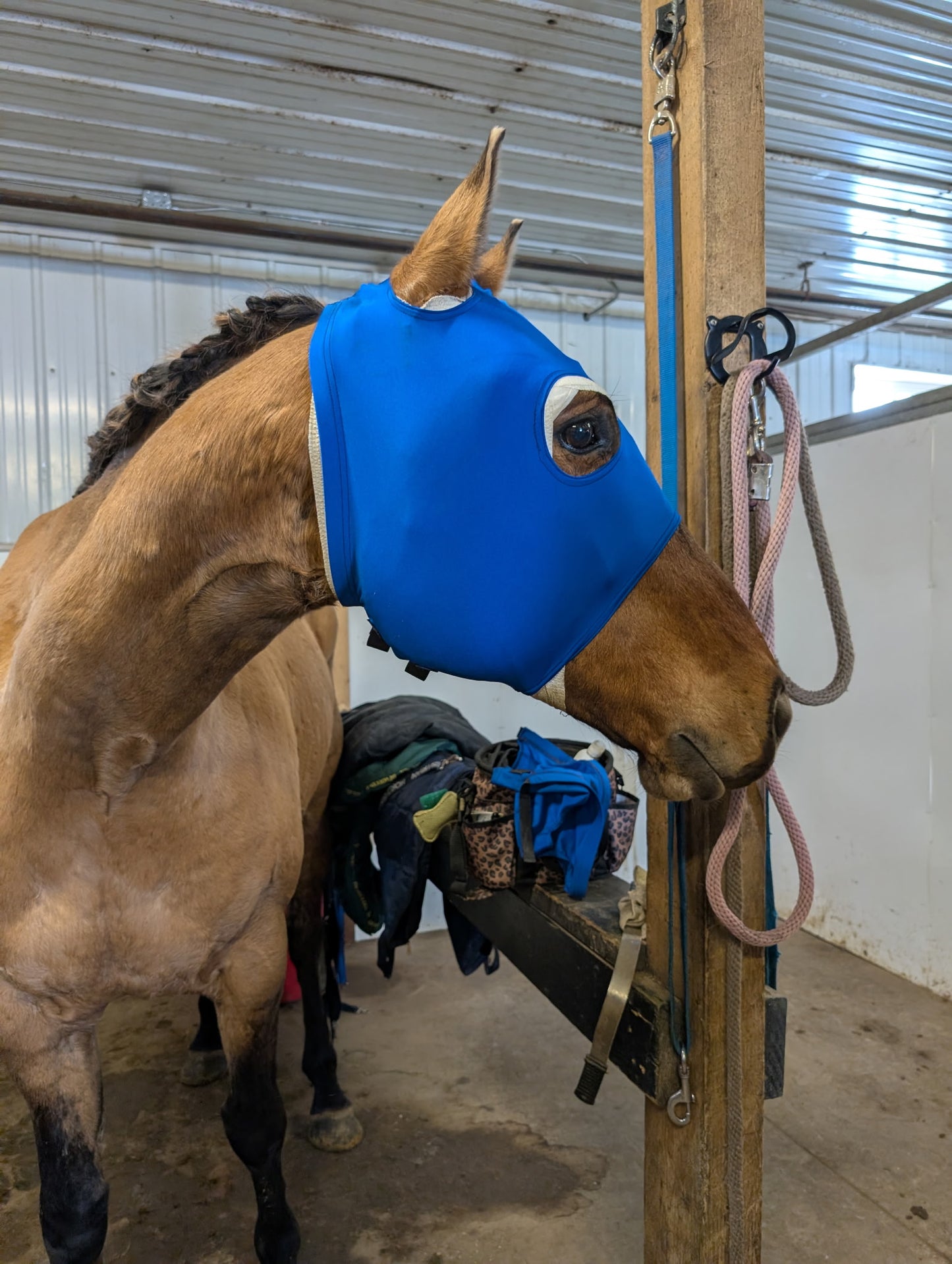 Spandex Face Mask