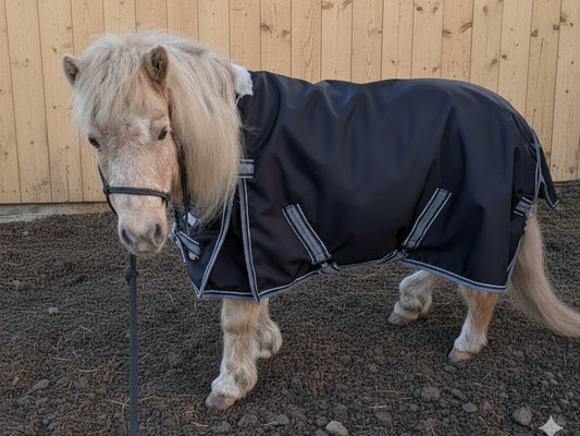 Wild Ride Equine Products SMALL PONY 1680D 170g Spring/Fall Turnout Rug