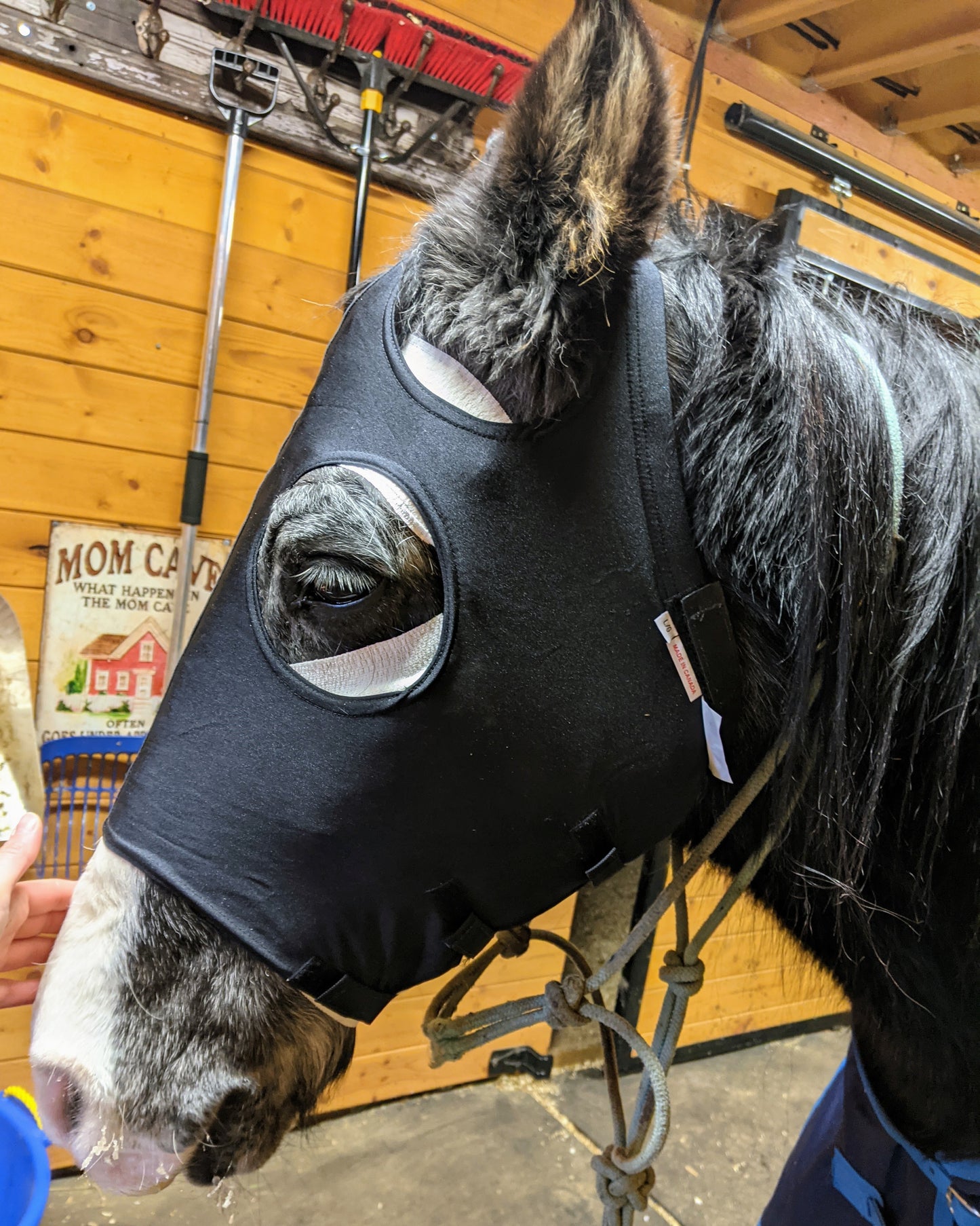 Spandex Face Mask