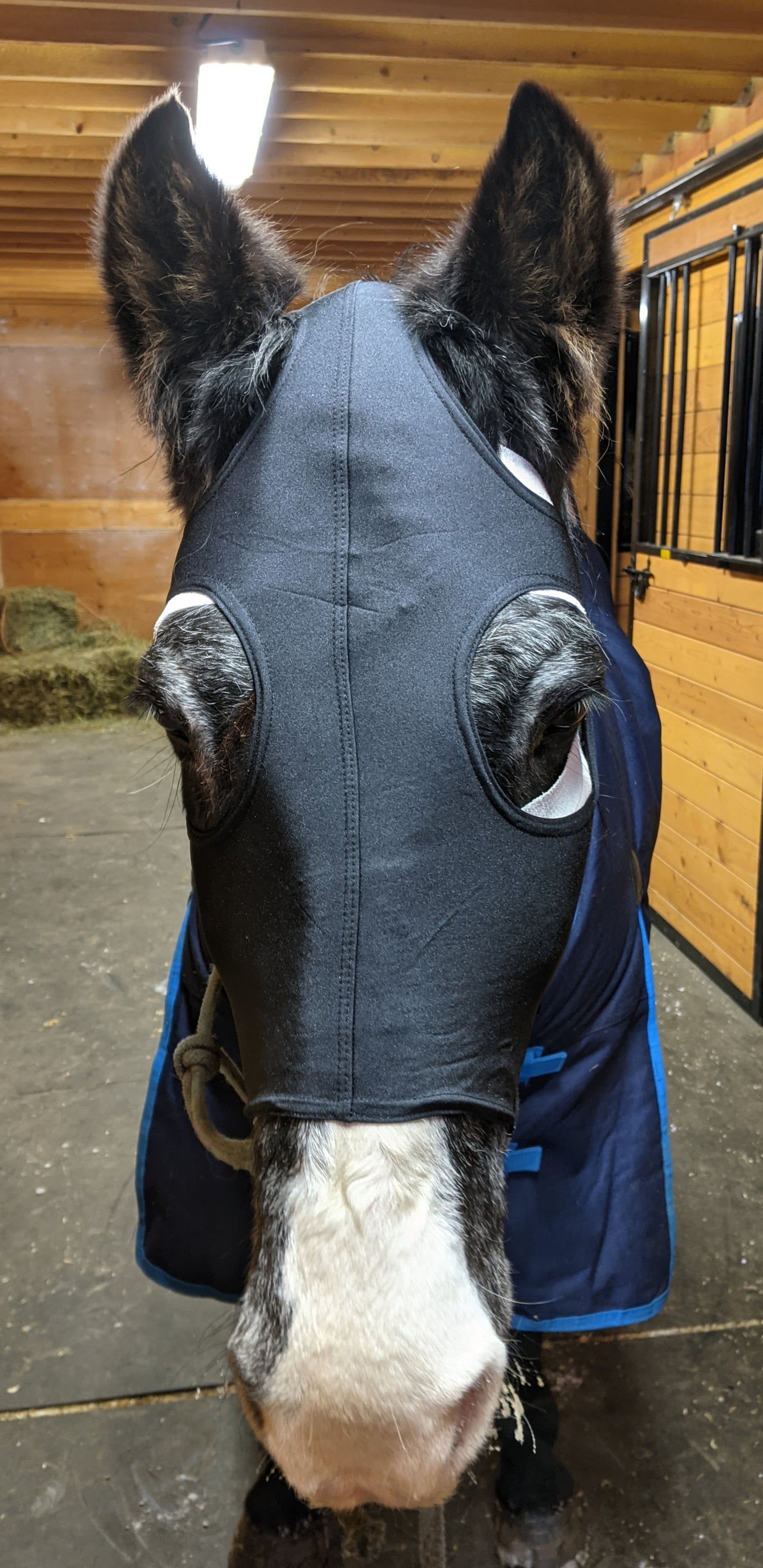 Spandex Face Mask