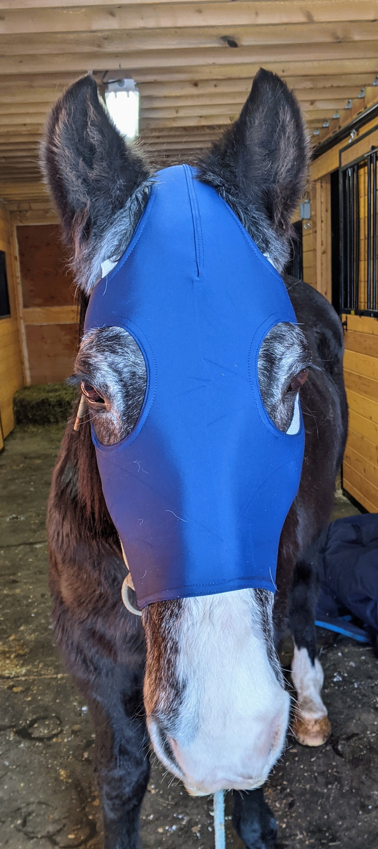 Spandex Face Mask