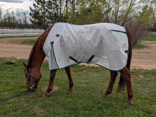 Flysheet (No Hood)