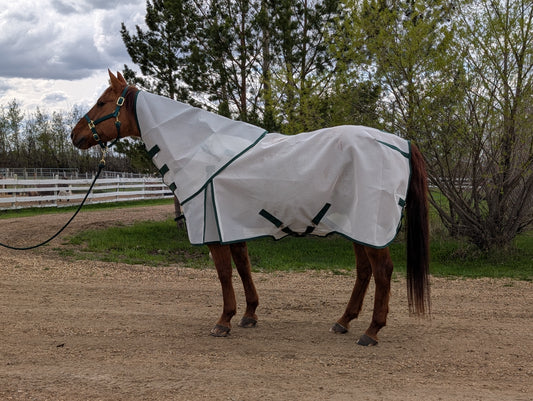 Flysheet with Detachable Hood Combo