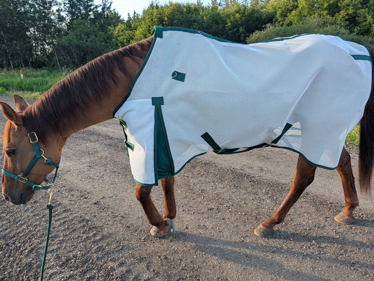Flysheet with Detachable Hood Combo