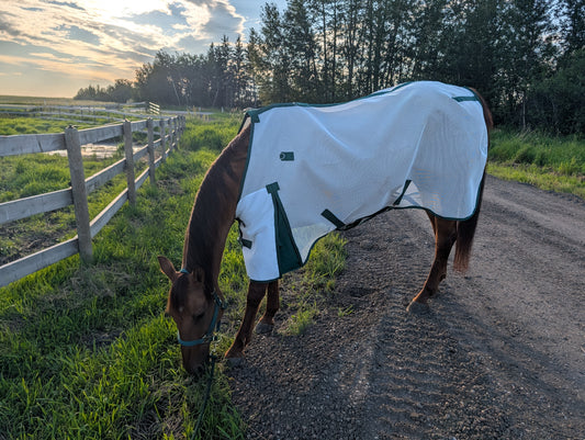 Flysheet (No Hood)