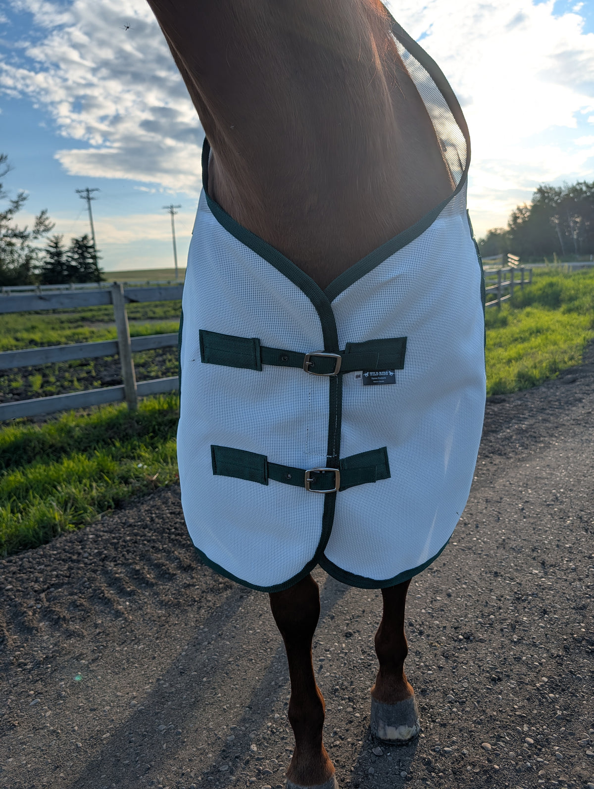 Flysheet with Detachable Hood Combo