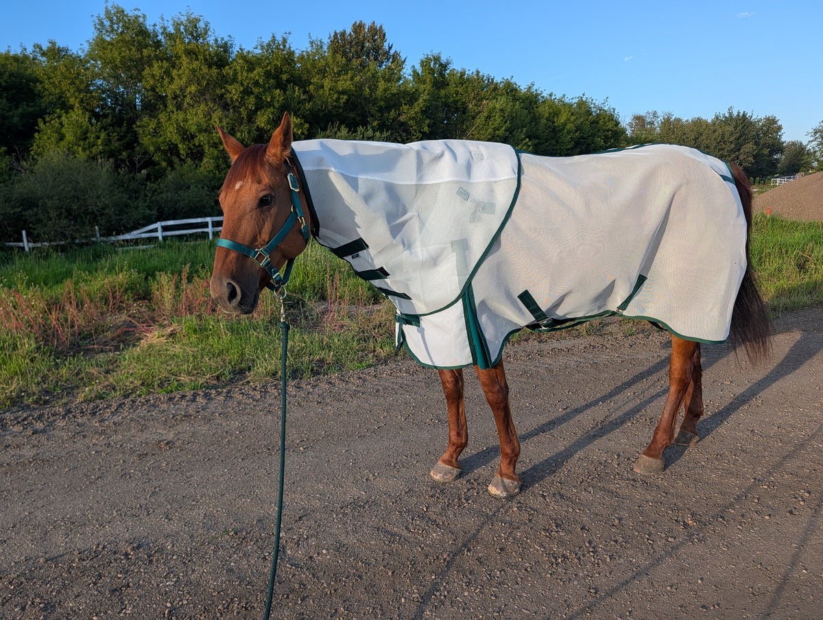 Flysheet with Detachable Hood Combo