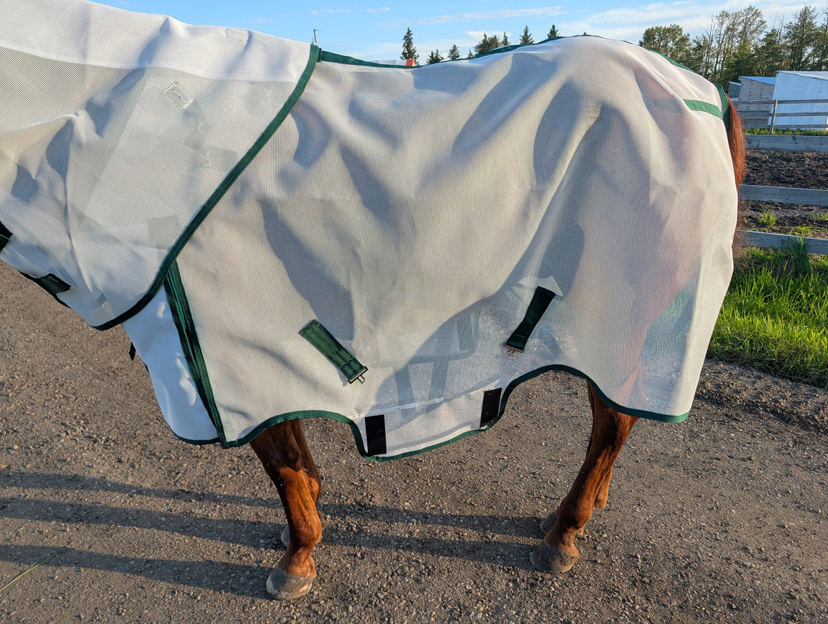Flysheet with Detachable Hood Combo