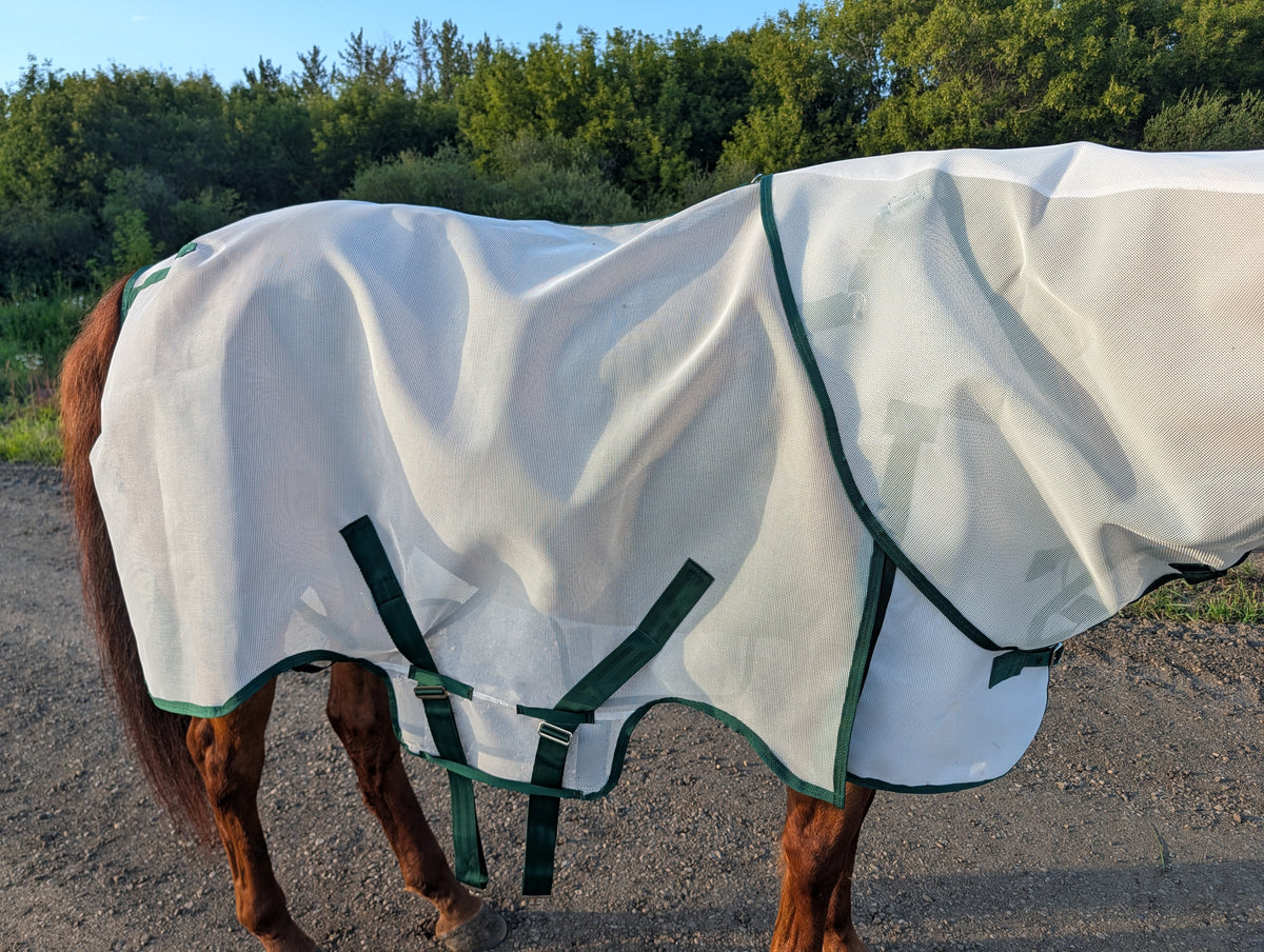 Flysheet with Detachable Hood Combo