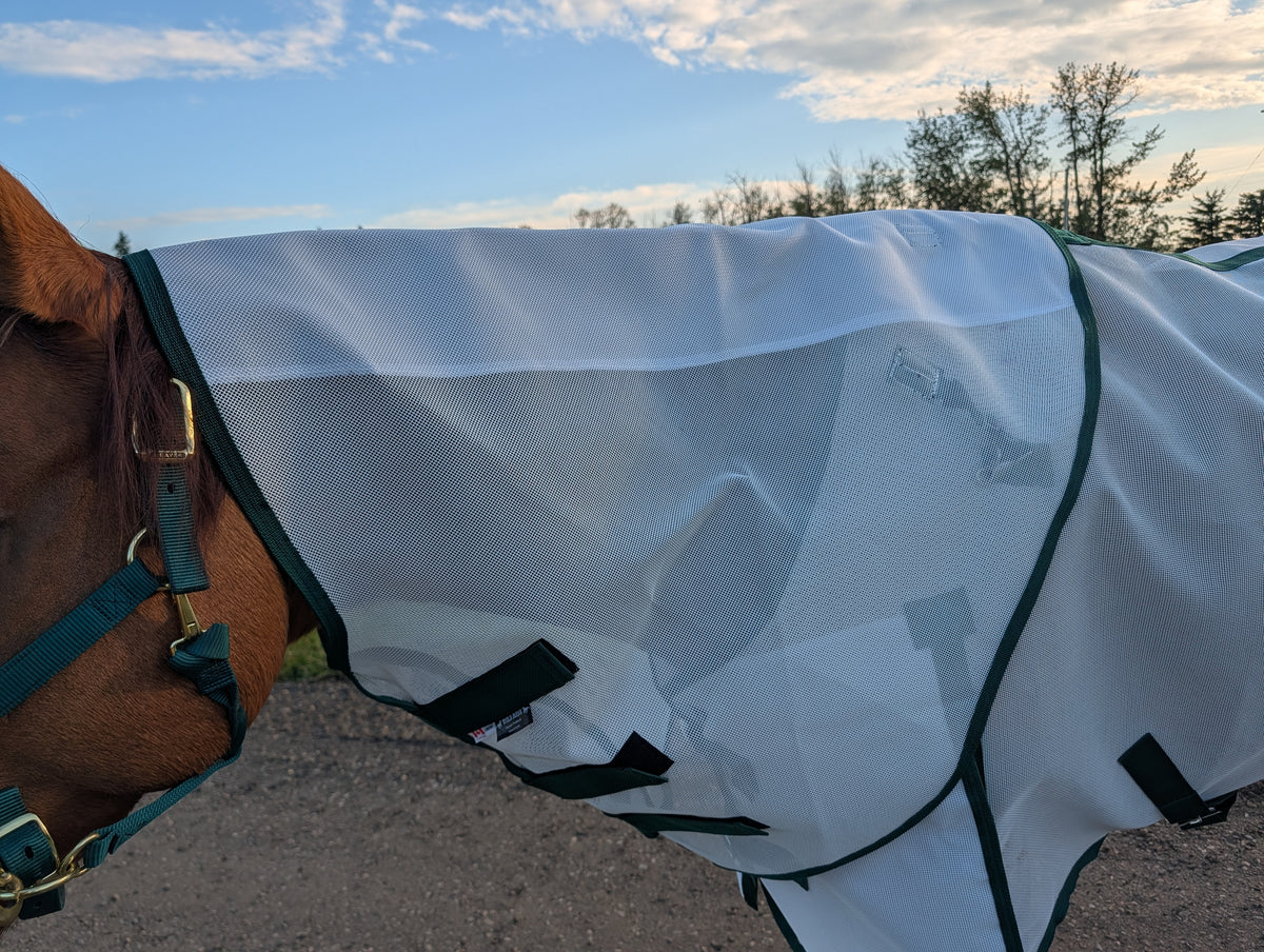 Flysheet with Detachable Hood Combo
