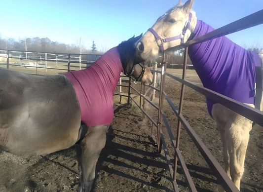 Weanling and Yearling, XXS Spandex HEADLESS Hood--NO ZIPPER