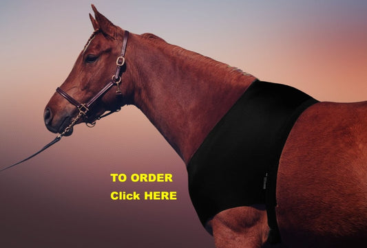 Spandex Shoulder Guard