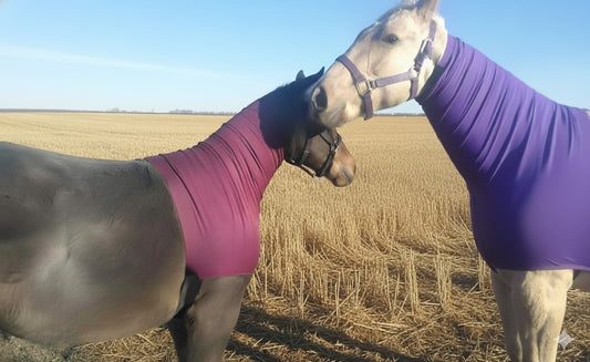 horsewear by STATLERHOUSE SPANDEX HOOD Weanling, Yearling, XXS HEADLESS -Zipperless