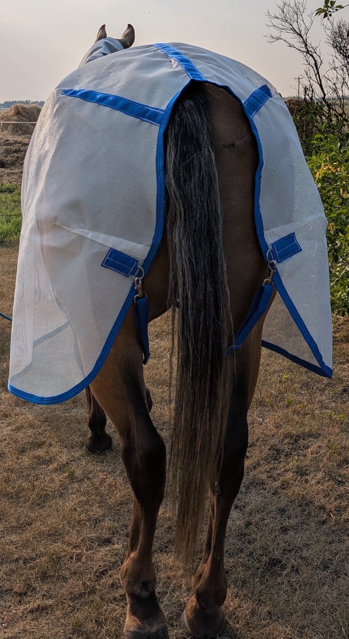 horsewear by STATLERHOUSE Flysheet-Heavy Duty Mesh