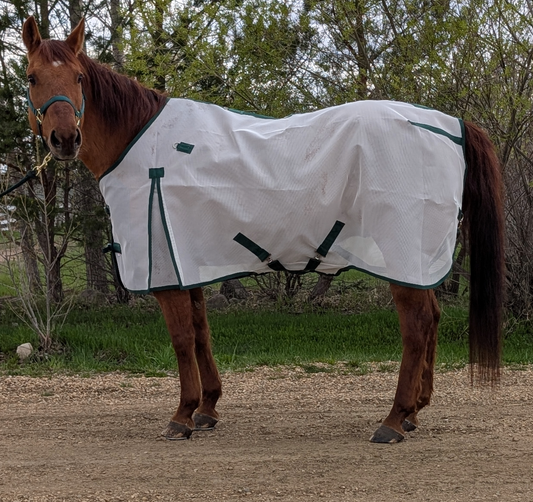 Flysheet (No Hood)
