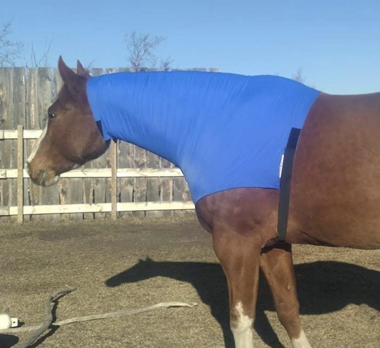 Lycra Headless Hood