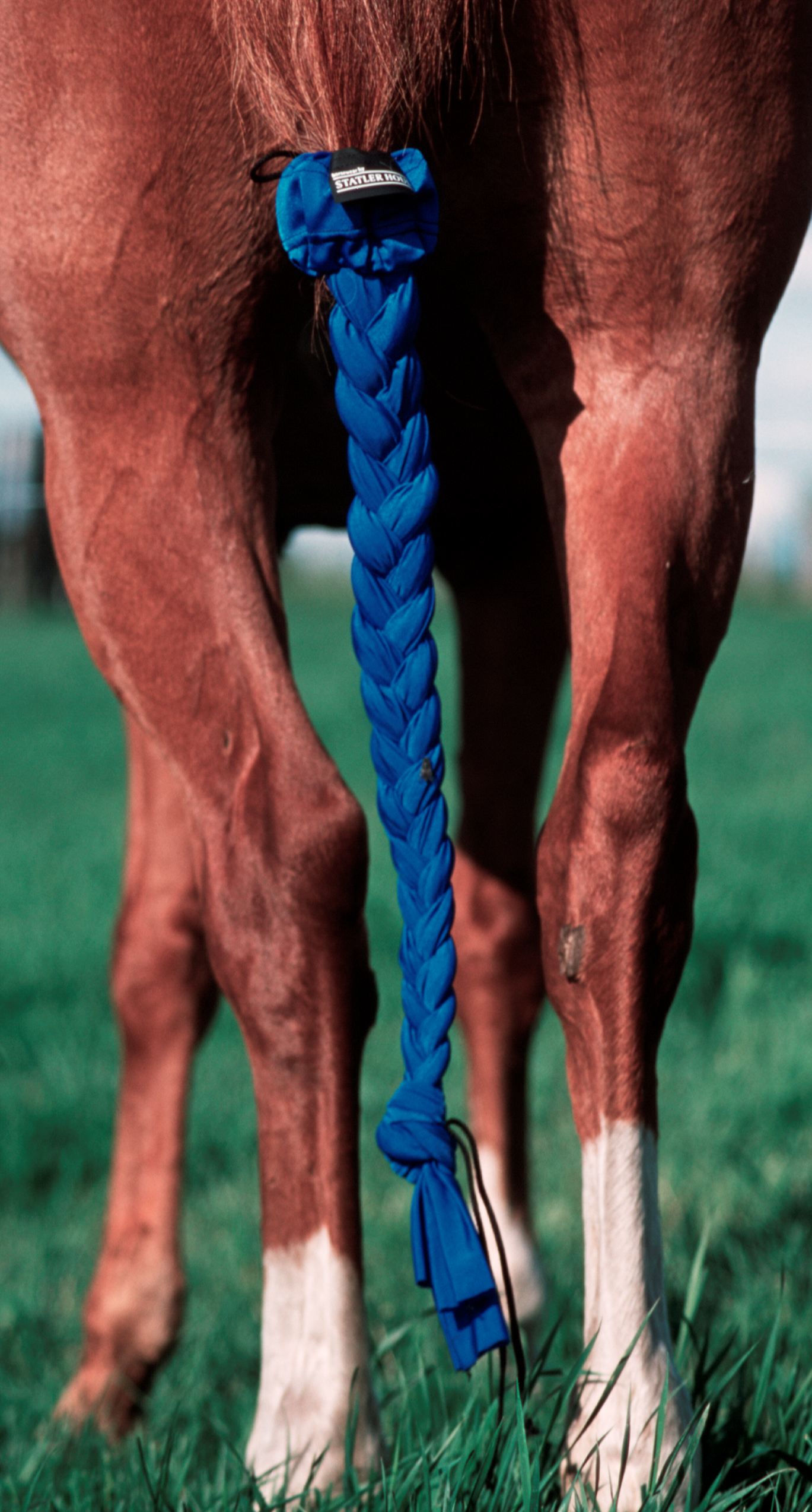 Lycra Master Tail Guard