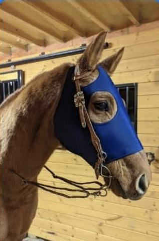 Lycra Face Mask